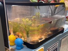 -海马体照相馆(上海月星环球港店)