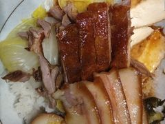 狮头牌鹅肉拼猪耳饭-狮头牌卤味研究所·卤味饭(花城汇南区店)