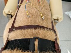 -西安京西宠物医院·瘫痪·疑难杂症