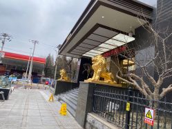 -中国黄金(北京旗舰店)