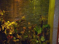 -泰适SPA馆丨精油·按摩·足道(后海地铁口店)