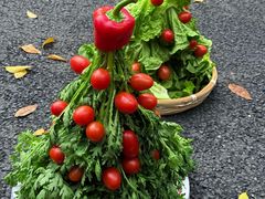 -冯校长老火锅(太古里店)