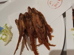 -新雅粤菜馆(南京东路店)