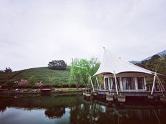 -帐篷客·溪龙茶谷度假酒店