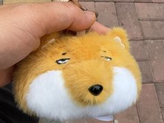 -青藏高原野生动物园
