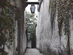-乌镇景区