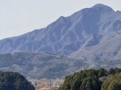 -向外鱼乐·土菜·虹鳟鱼