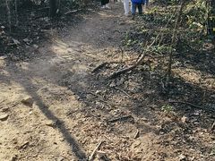 -青龙山国家森林公园
