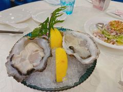 生蚝刺身-珍宝海鲜JUMBO Seafood(尚嘉店)