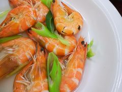 盐水对虾-望海潮海鲜店 特色家常菜(在海一方店)