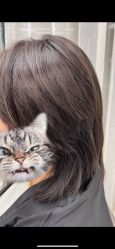 -5M HAIR SALON