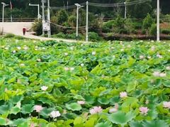 -梅州天地人花园酒店(梅县人民广场店)