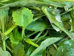 -黄利砖万峰林布依特色酸笋牛肉馆