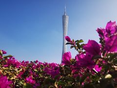 -海心沙亚运公园