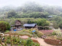 -广东天露山旅游度假区