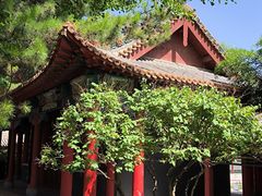 -碑林公园