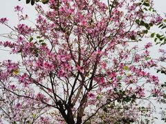 -荔湾区儿童公园