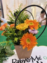 -安琪朵朵独栋花园月子中心