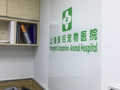 -爱侣宠医·鹦鹉专科·小型哺乳类·异宠专科(灵石路店)