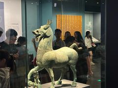 -广西壮族自治区博物馆