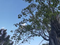 -崇圣寺三塔文化旅游区