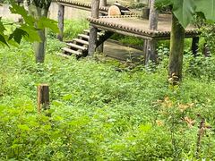 -碧峰峡风景区