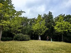 -上海吴淞炮台湾国家湿地公园
