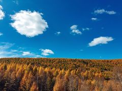 -塞罕坝国家级自然保护区