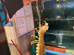 -辉记炭烧海鲜大排档·老字号(福田店)