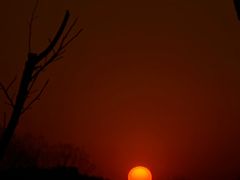 -澳门旅游塔360°旋转餐厅(南湾湖广场店)