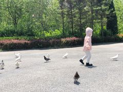 -青岛森林野生动物世界