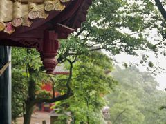-青城山