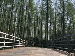 -上海怡沁园度假酒店