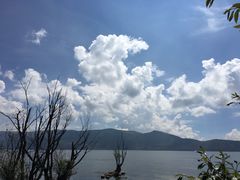 -才村湿地公园