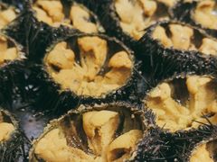 -旺角小渔村(幸福中路店)