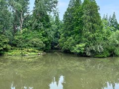 -上海滨江森林公园