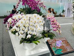 -上海鲜花港