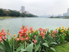-南宁南湖公园