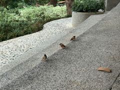 -香港大学