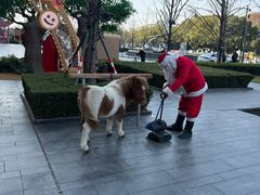 -Grande A'moo(上海万象城店)