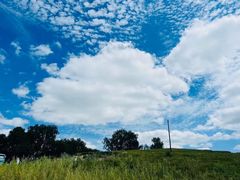 -乌兰布统草原
