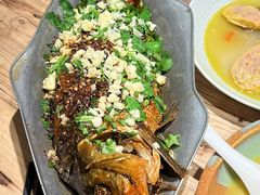 -树厨贵州菜(大十字店)