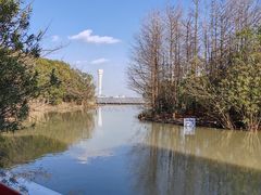 -上海吴淞炮台湾国家湿地公园