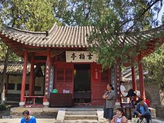 -南阳卧龙岗武侯祠
