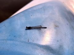 -乡乐园蟹庄·阳澄湖农家乐