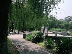 -望湖公园