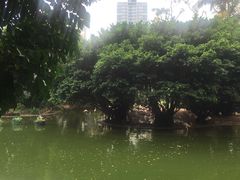 -九龙公园