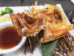 -菊上料理(蜀山银泰百货店)