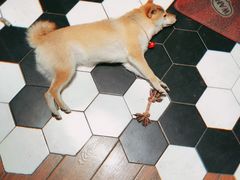 -About Bistro關於·泰式家庭料理