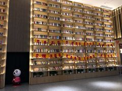 -深影国际影城(学院南路店CGS中国巨幕店)